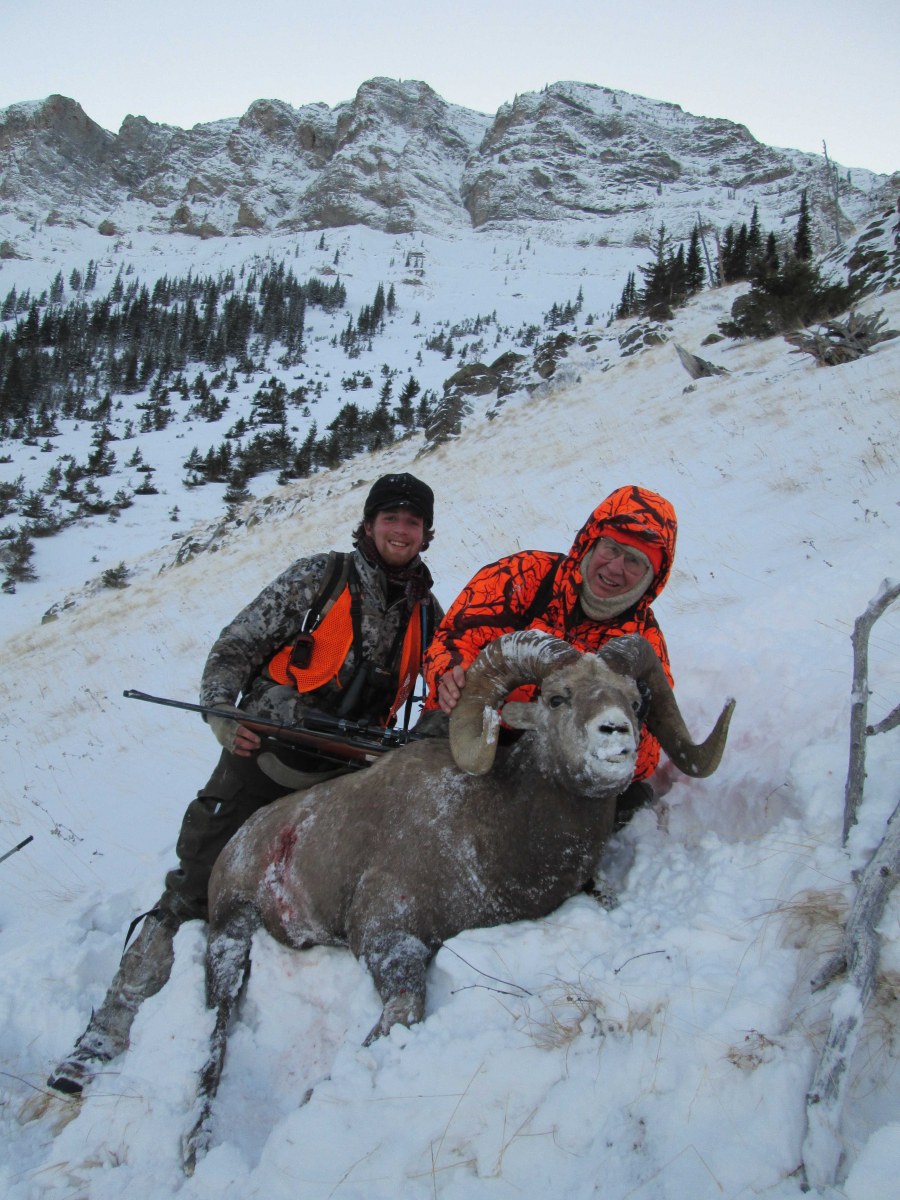 Big Horn Sheep on Ear Mountain