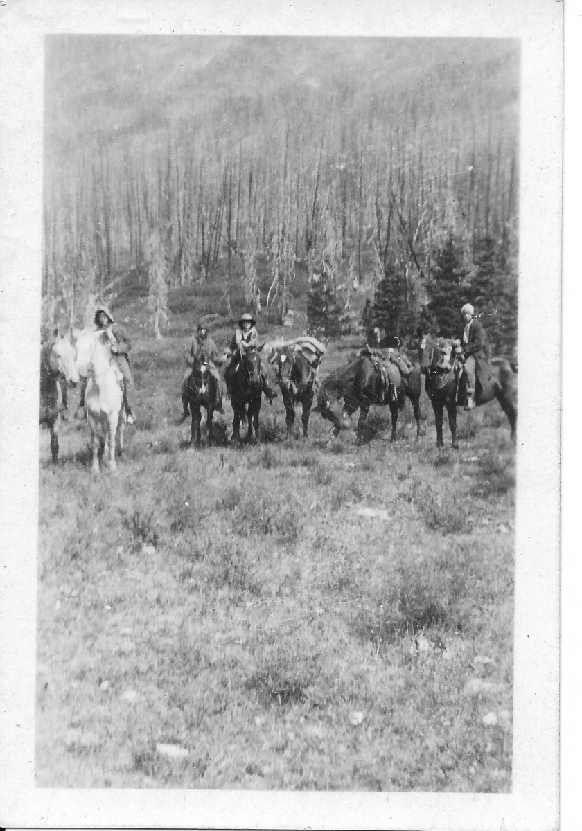 Big River Meadows Hunting