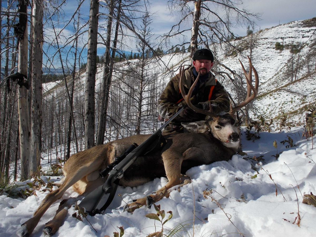 Late Season Mule Deer