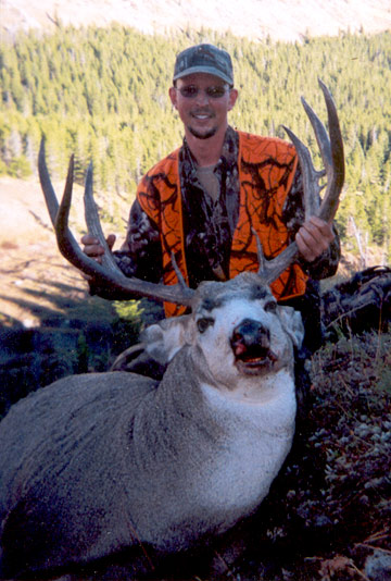 Mule Deer