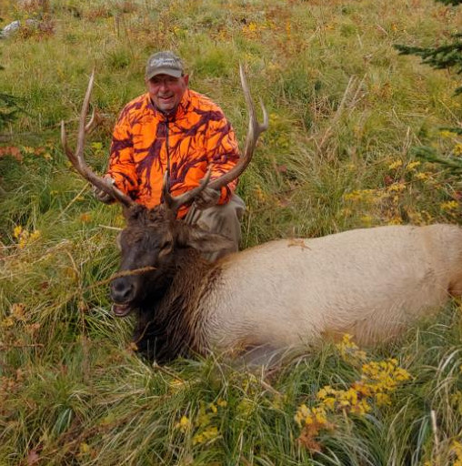 Early Season Elk