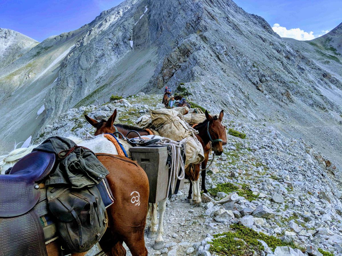 Packstring on Headquarters Pass