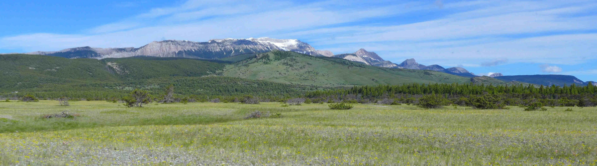 Rocky Mountain Front Choteau