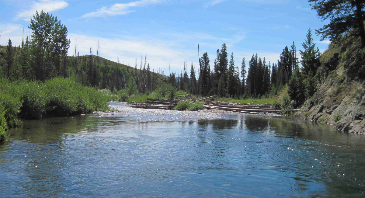 North Fork Sun River