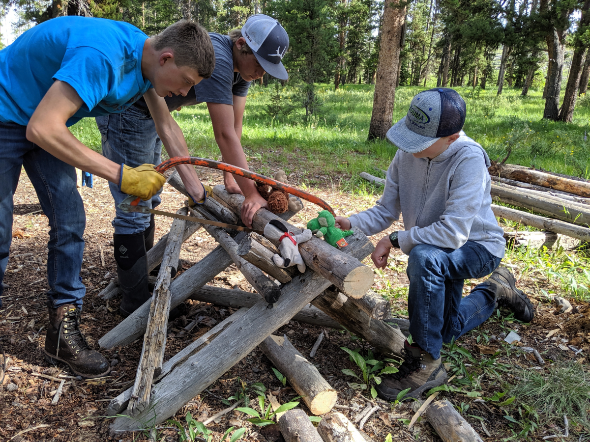 Phil cutting wood