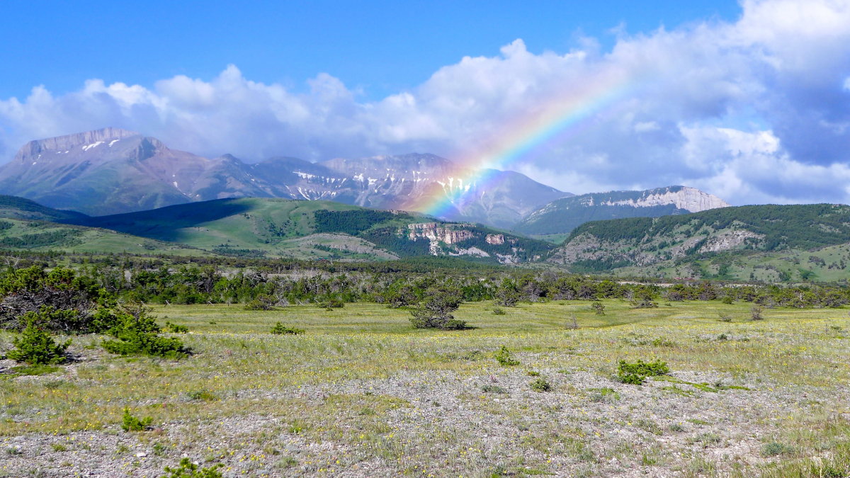 Rocky Mountain Front