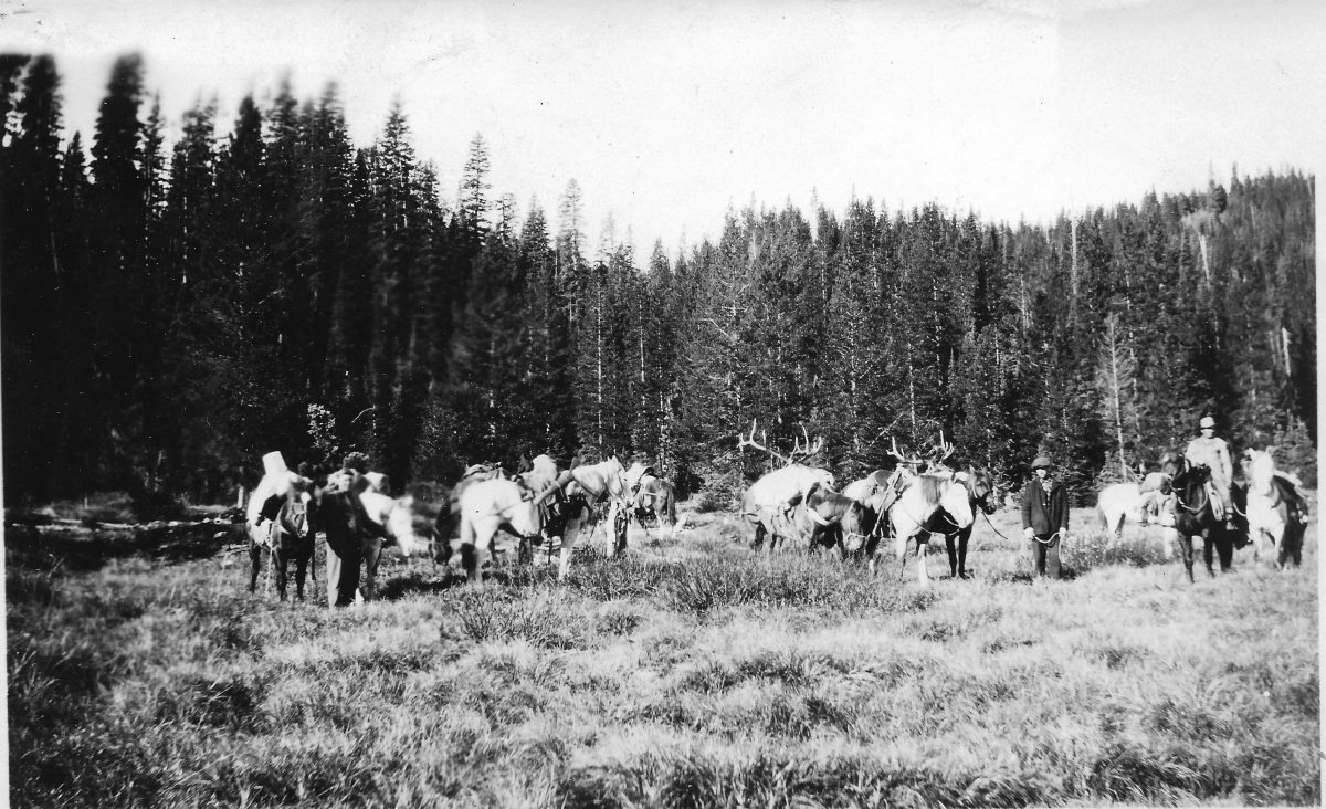 Strawberry Creek Hunting Party